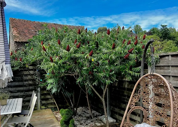 La Cassine Bis - Havre De Paix A Saint Ceneri